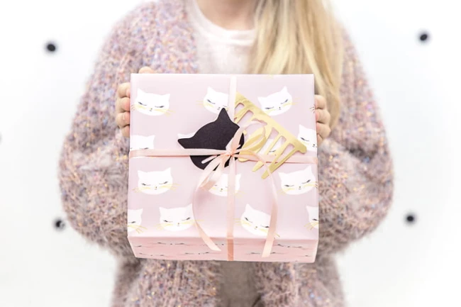 2cdb00af7f19382415fa79d167ee2561