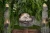 w2000.webp