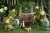w20001.webp